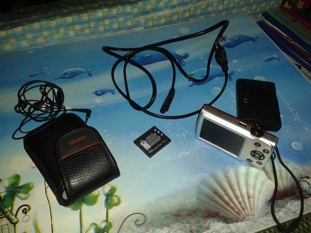 20160323_062559 (FILEminimizer).jpg