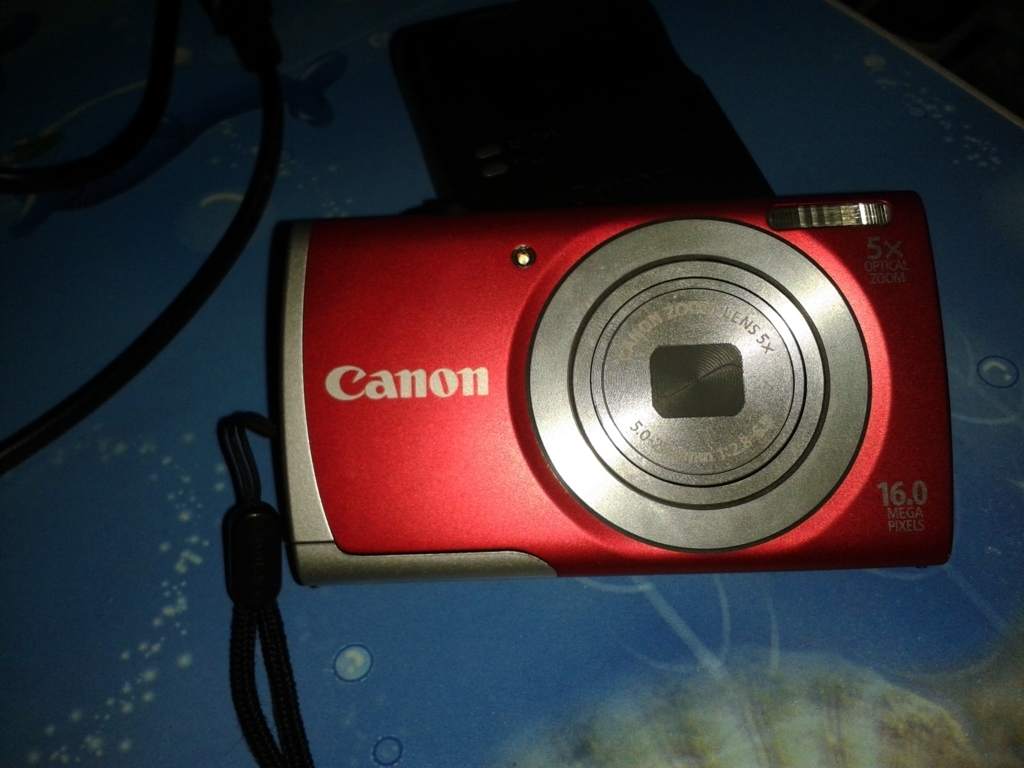 20160323_062628 (FILEminimizer).jpg