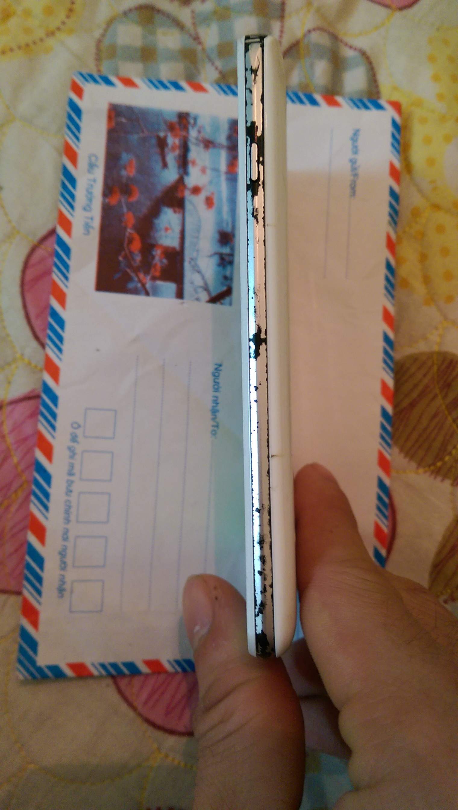 IMAG0029.jpg