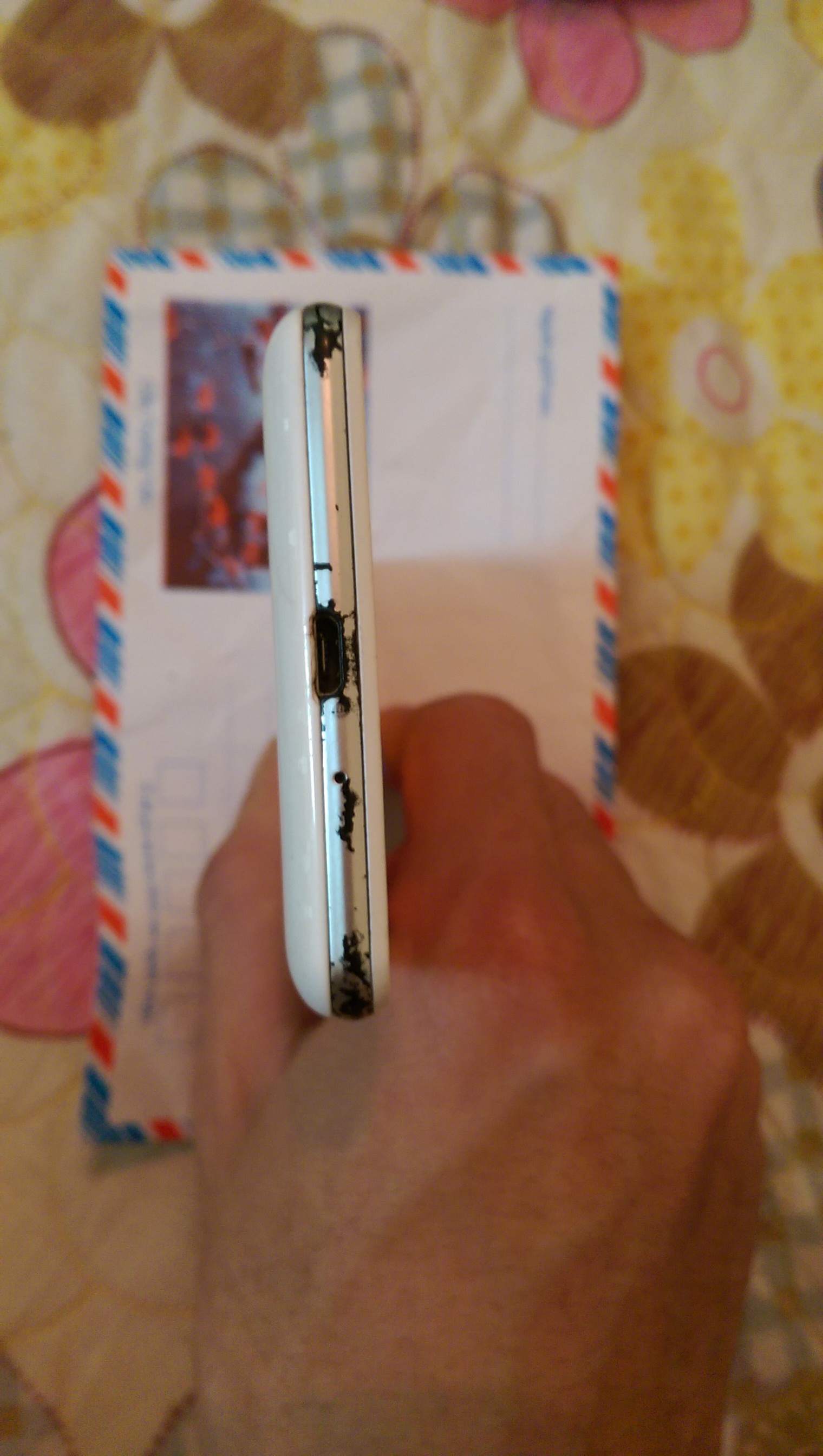 IMAG0031.jpg