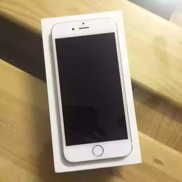 received_491569067693523.jpeg