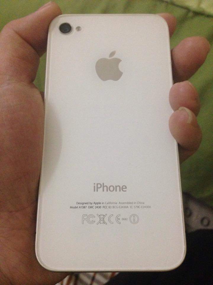 11118187_1599066660305968_1470656903_n.jpg