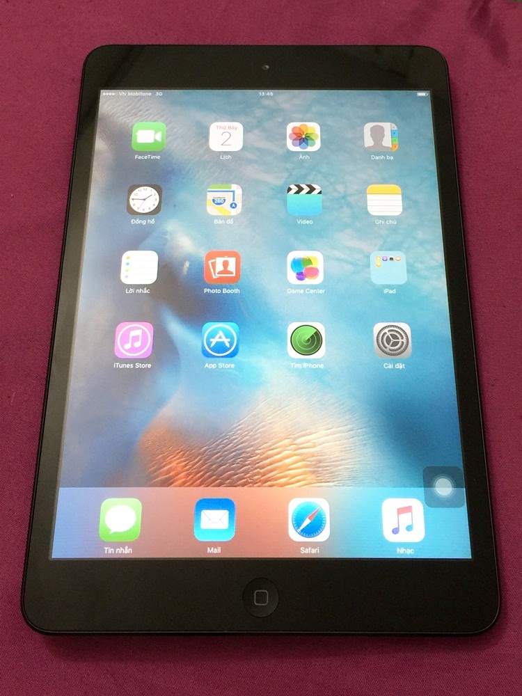 .iPad mini 2.JPG