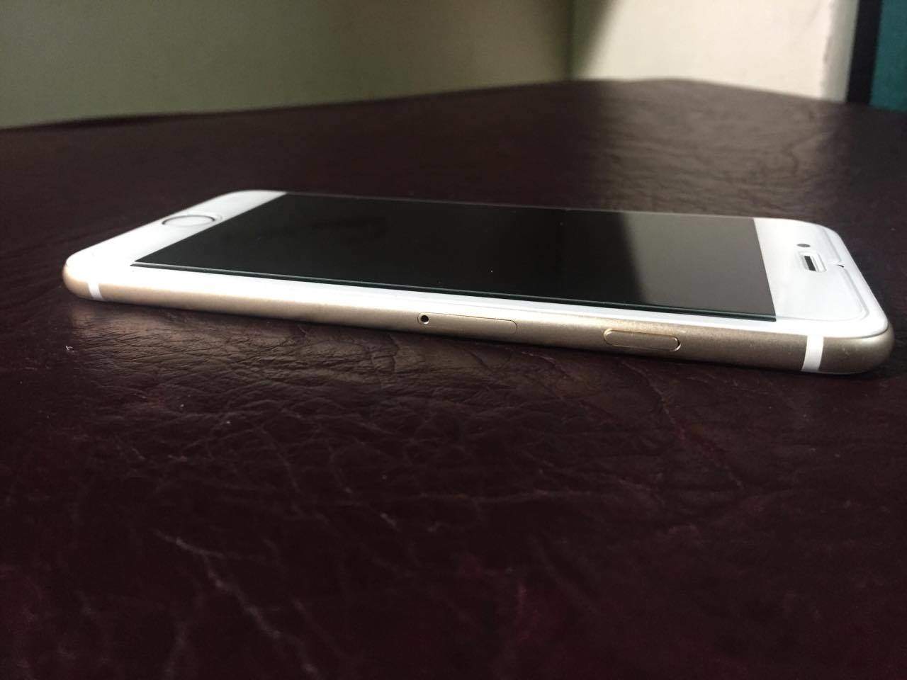 12970258_1073973282663144_1319075811_o.jpg