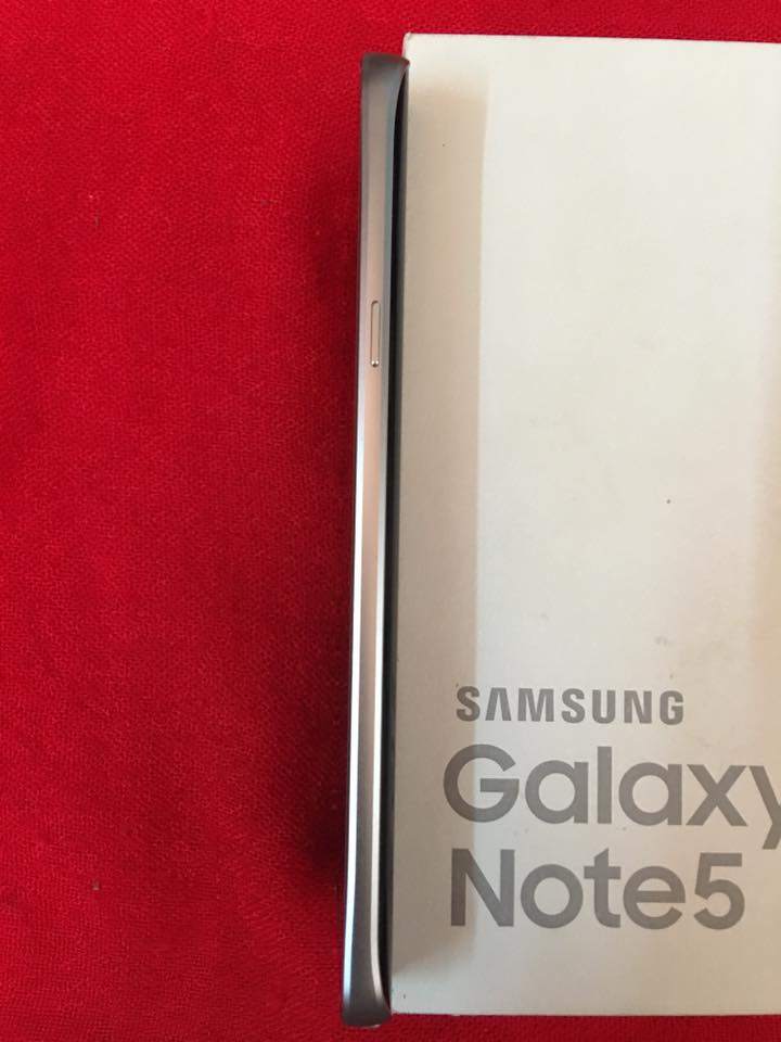 12919866_1178087645536069_35389625955368046_n.jpg