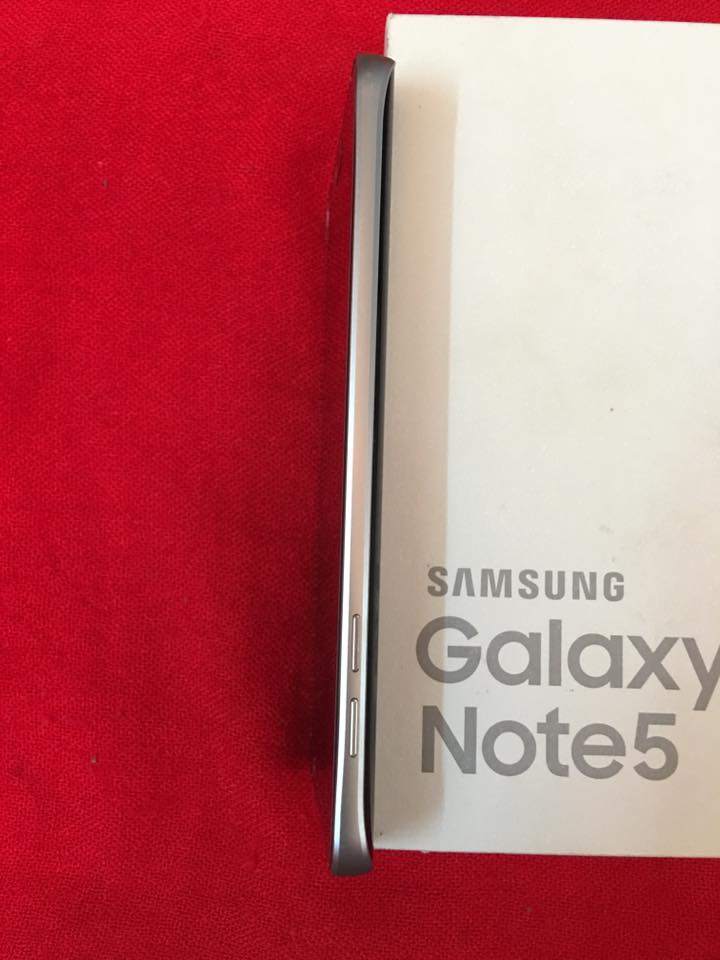12923254_1178087665536067_1647179024182300314_n.jpg