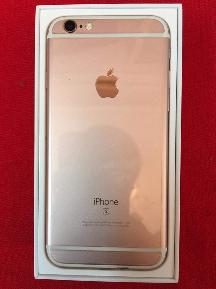11181312_1174773155867518_849796938606865007_n.jpg