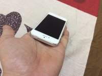3902933_155cb6ace662814d57067934921094a8_thumb.jpg