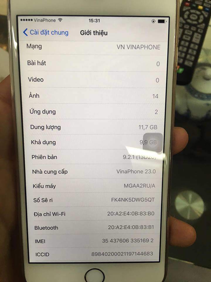 12935417_271123543219140_1803561338_n.jpg