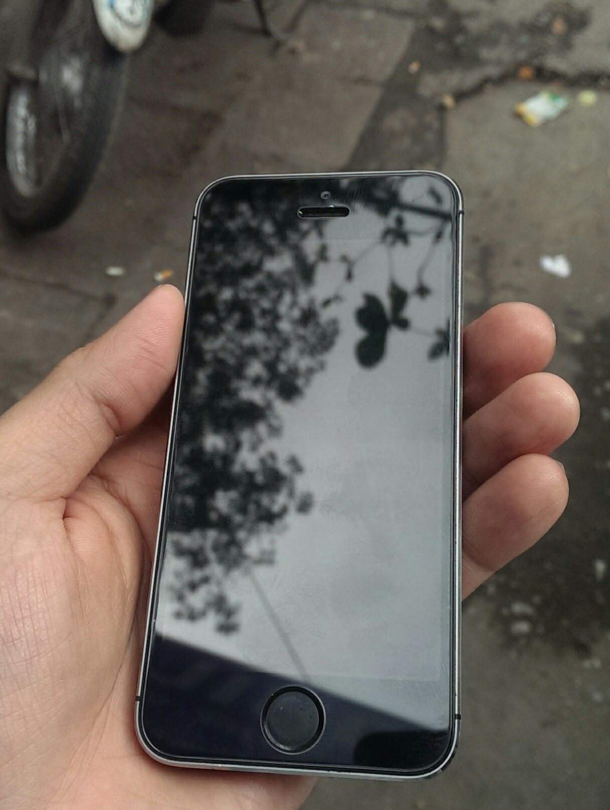 IMAG0047_1.jpg