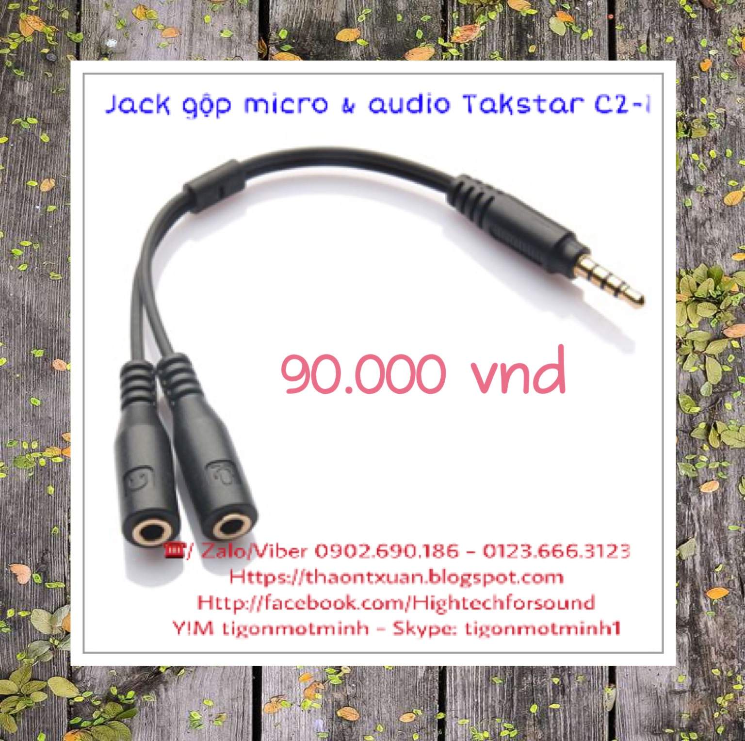 3. Jack gop mic & audio takstar C2-1.JPG