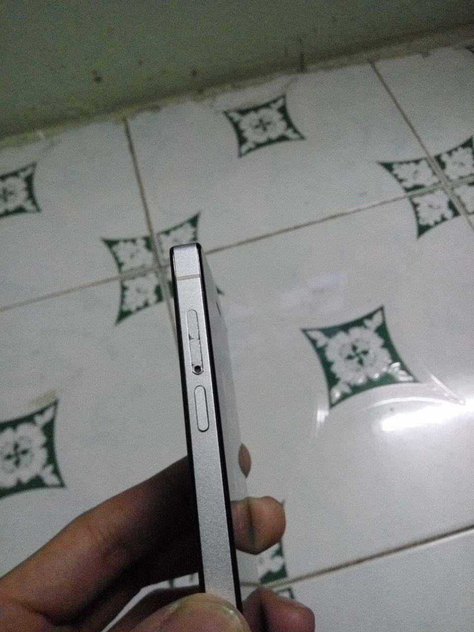 received_797360513727275.jpeg