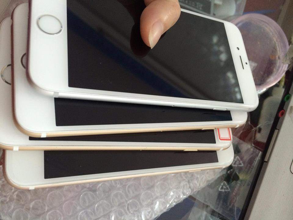 12987999_837932369686545_1149815119_n.jpg