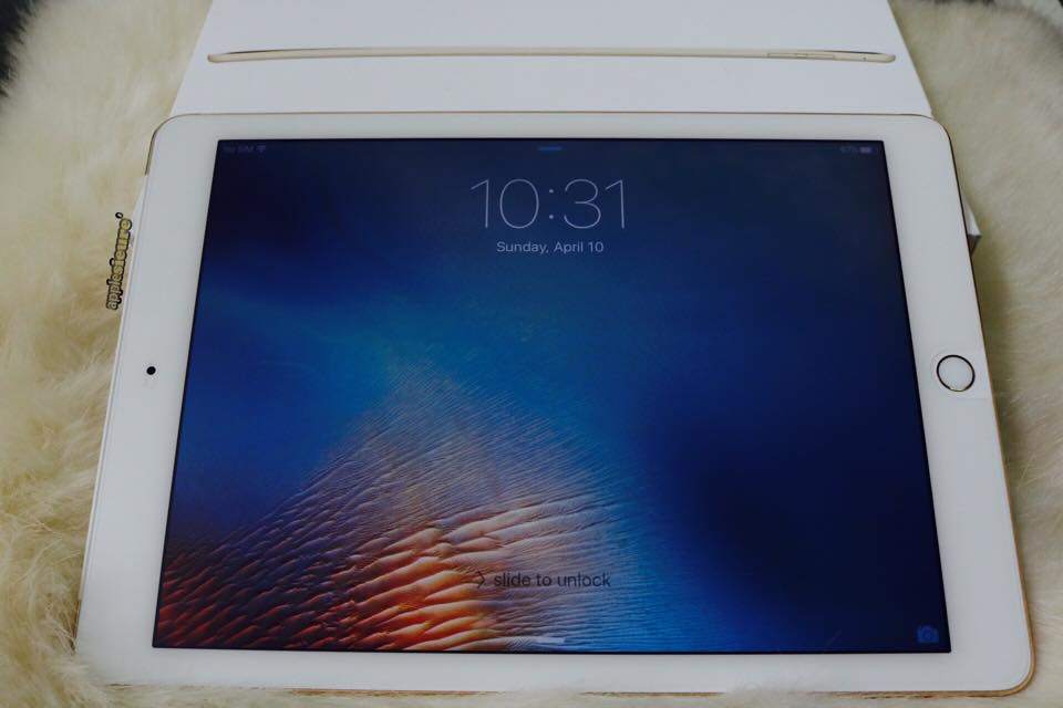 11959989_1044677888935495_445163311279015776_n.jpg