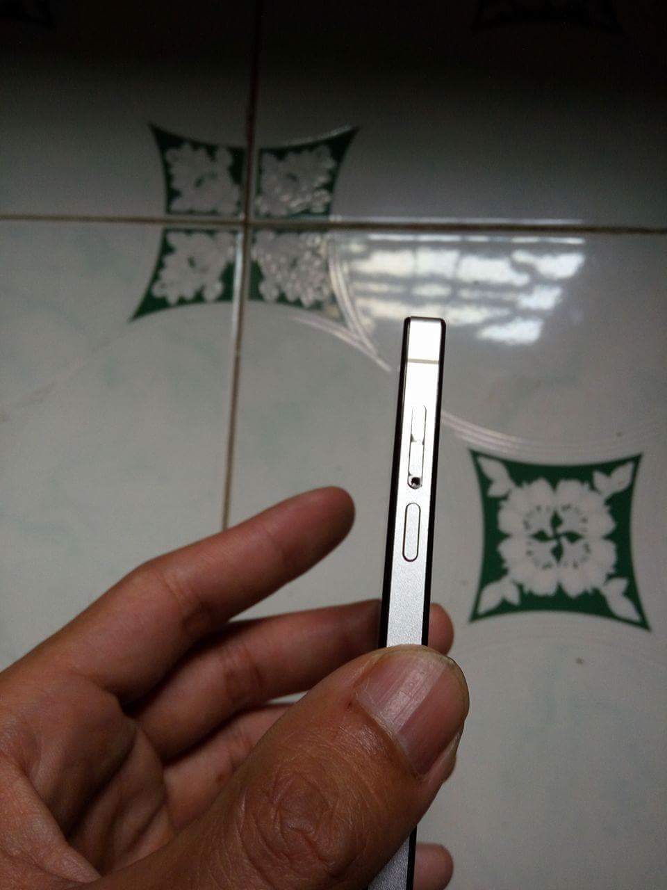 received_797712287025431.jpeg