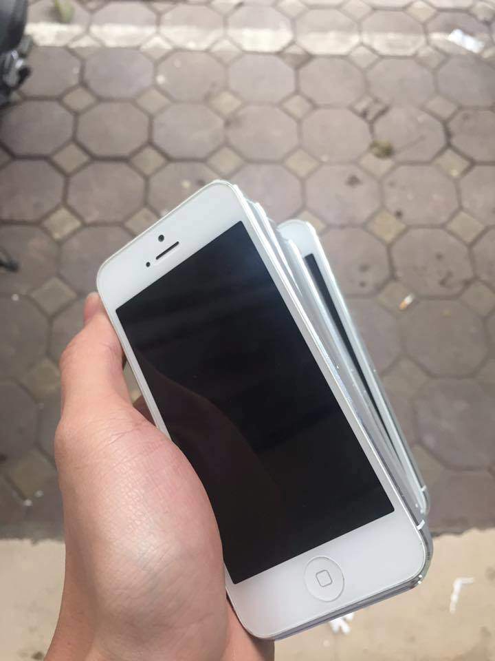 12923324_930137397107156_1039188155338346829_n.jpg