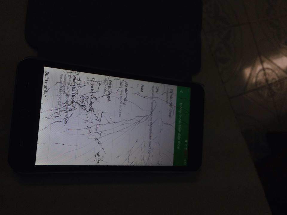 12957145_734888176648647_731613605_n.jpg