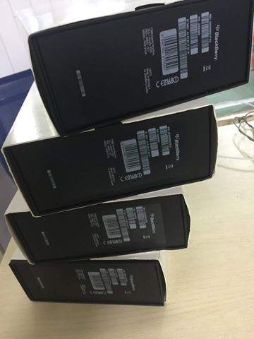 BB 9983.1.jpg