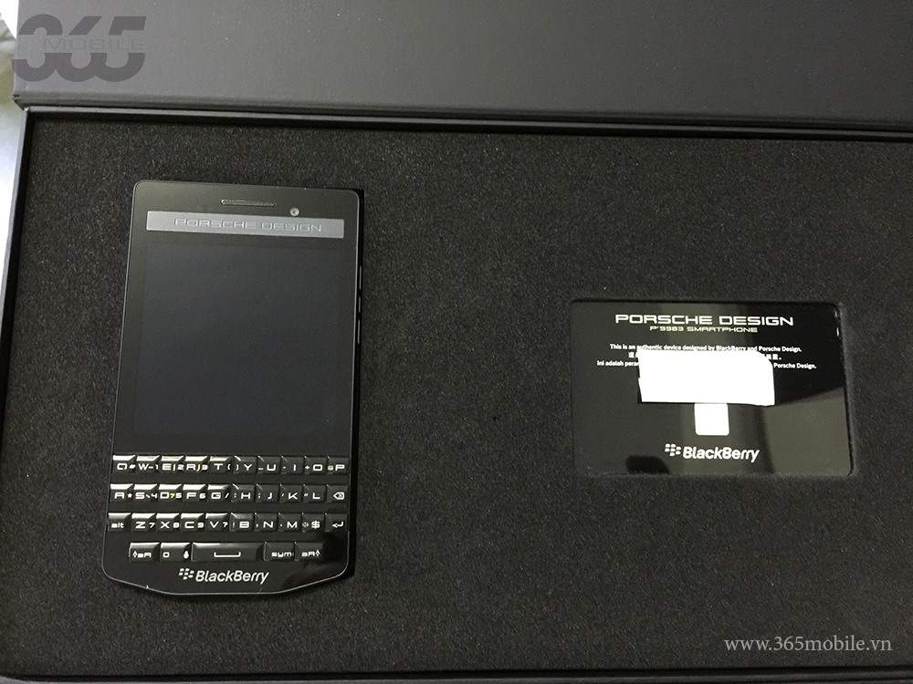 P9983.2.jpg