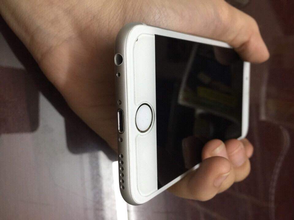 11244905_1597476167157107_2657564812083844984_n.jpg
