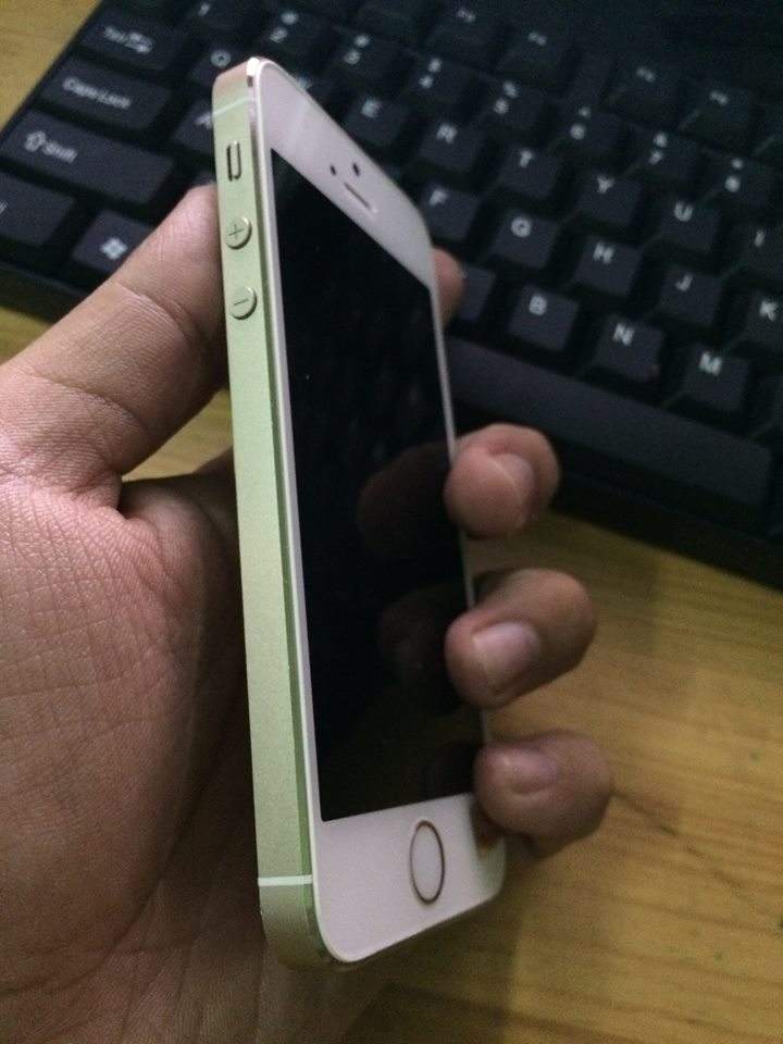 12241377_857892754308039_4120763389323780780_n.jpg