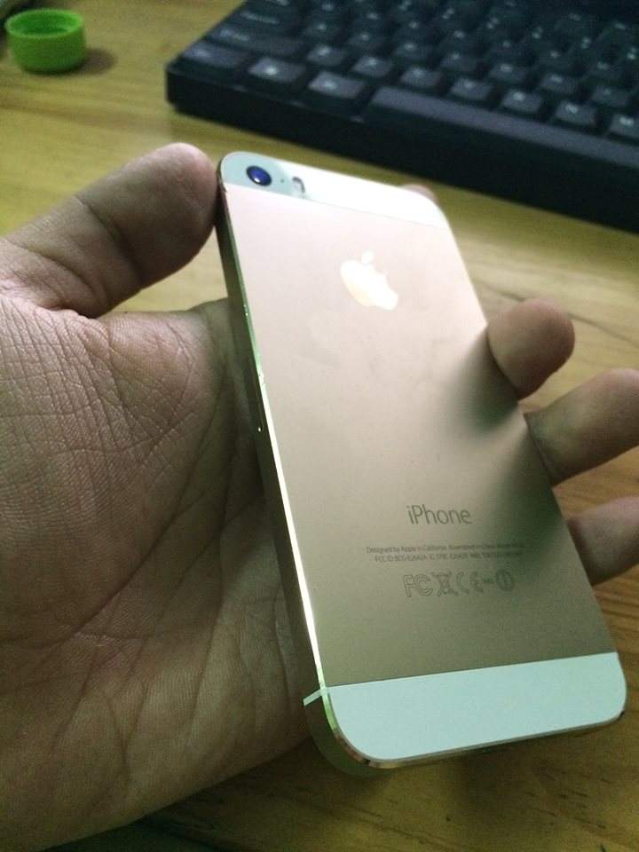 12250038_857892760974705_6489342472681971743_n.jpg
