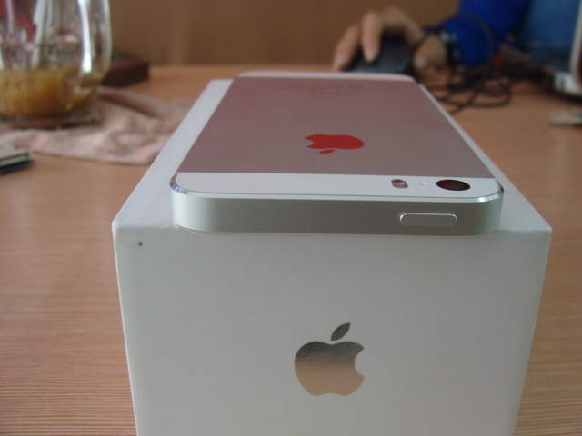 DSC01533.JPG