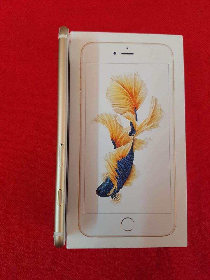 12992933_1186451464699687_796575880_n.jpg