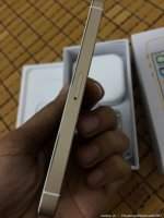 5664423_1537dd3d2eb975854eddfd6b2e508780_thumb.jpg