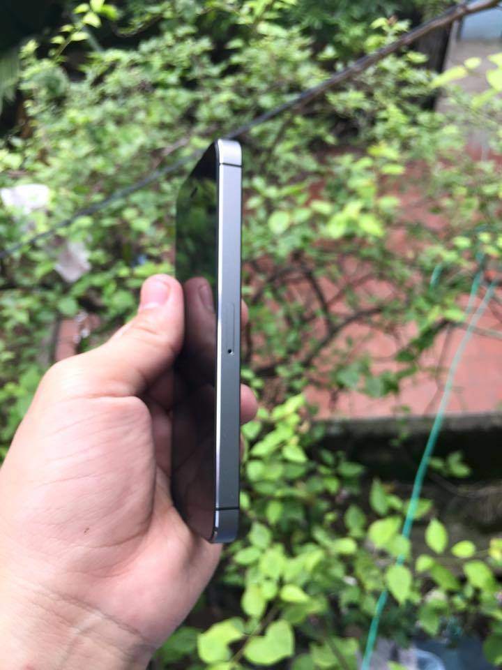 10155279_851346191629362_2984034057579205389_n (1).jpg