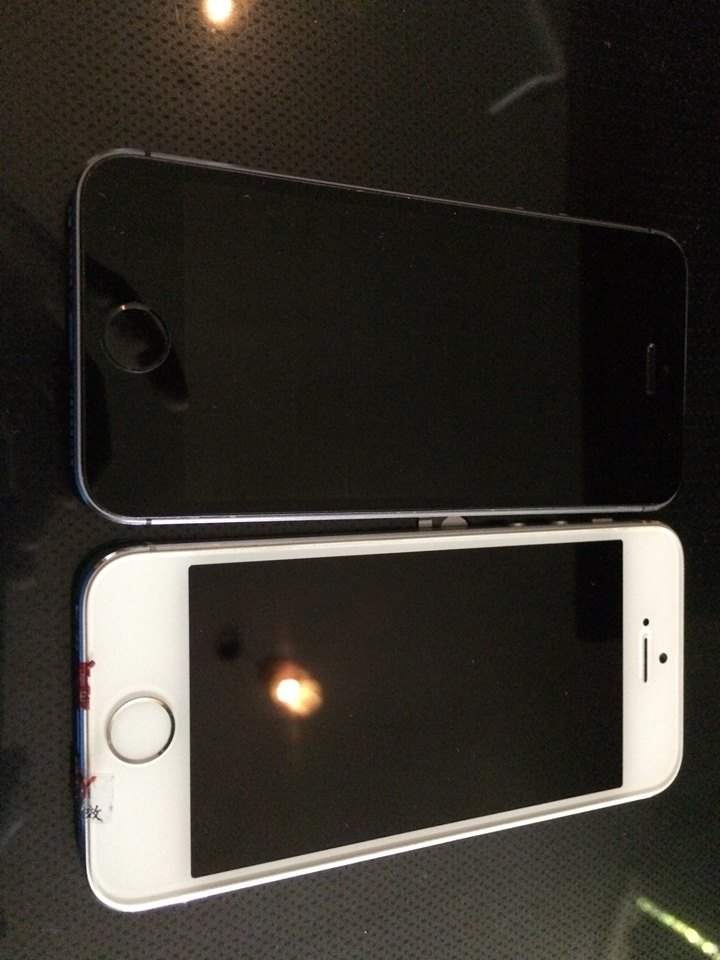 11247507_817778388365861_7403073878186265411_n.jpg