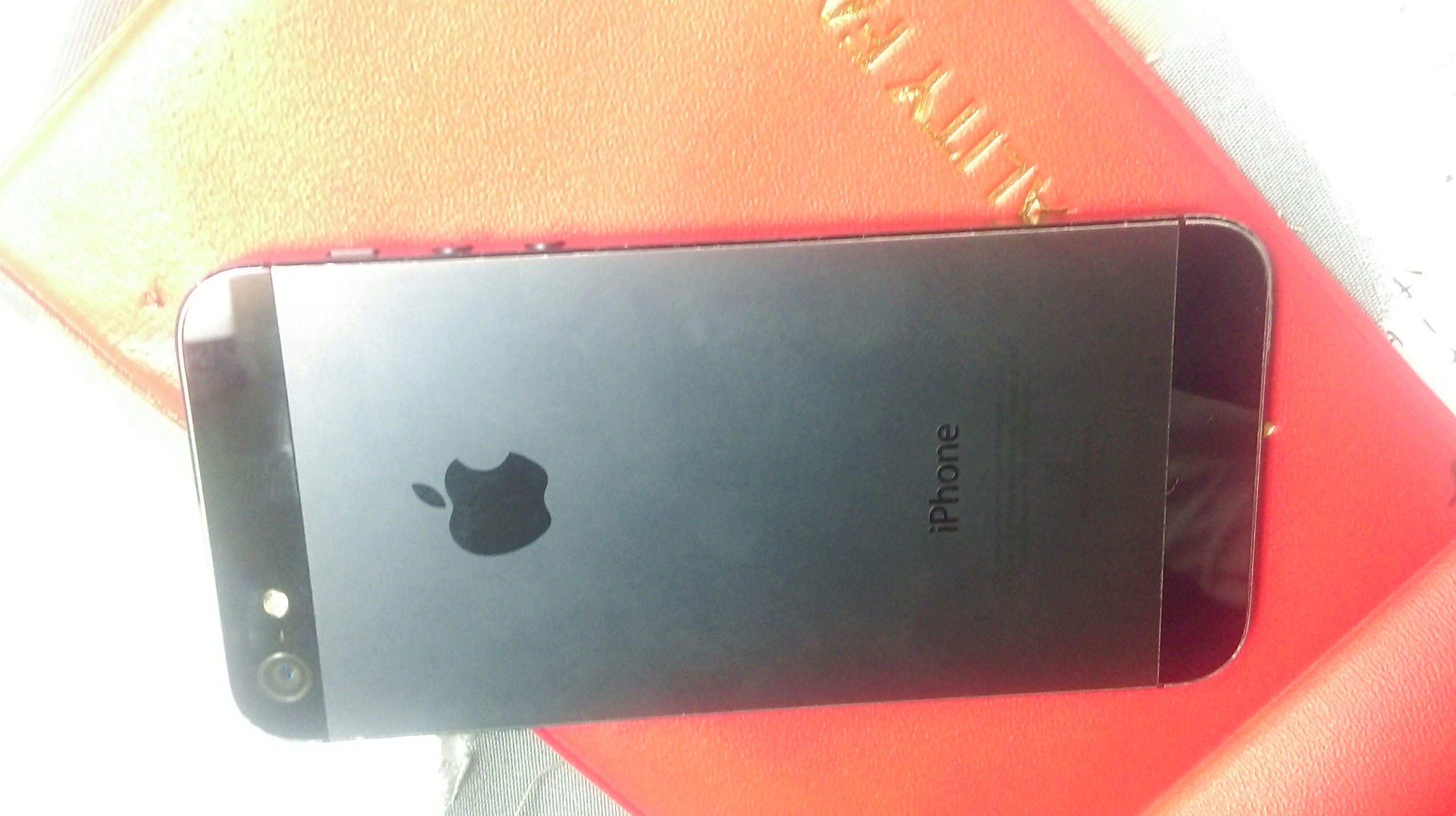 IMAG0016_1.jpg