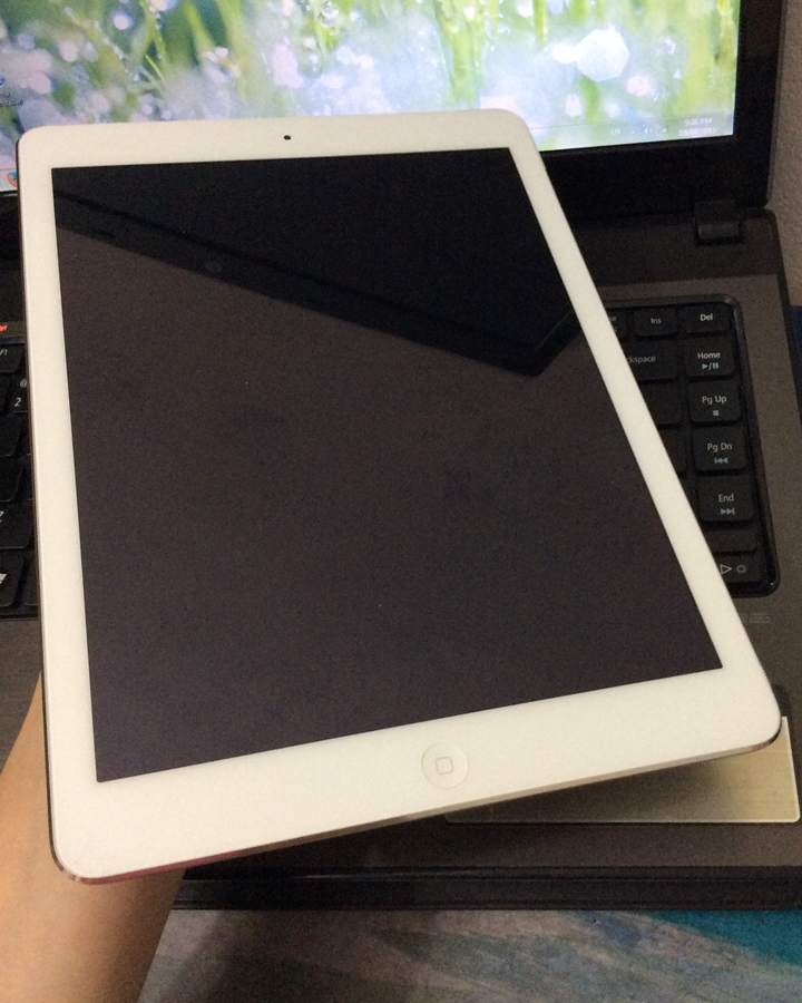 iPad Air w 03 (2).JPG