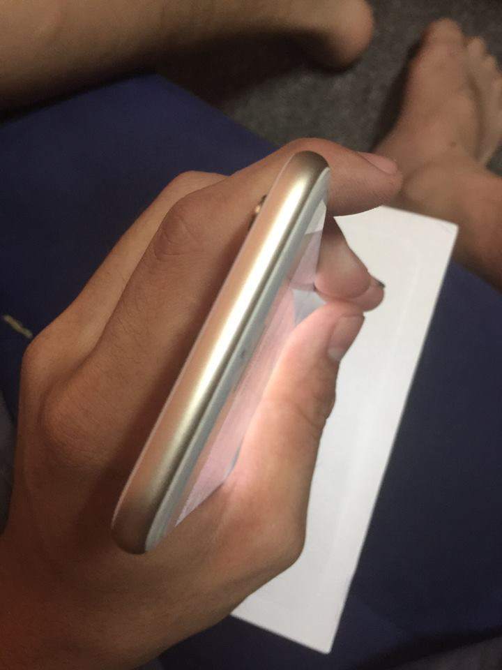 13076598_280296678968493_199634942294950758_n.jpg
