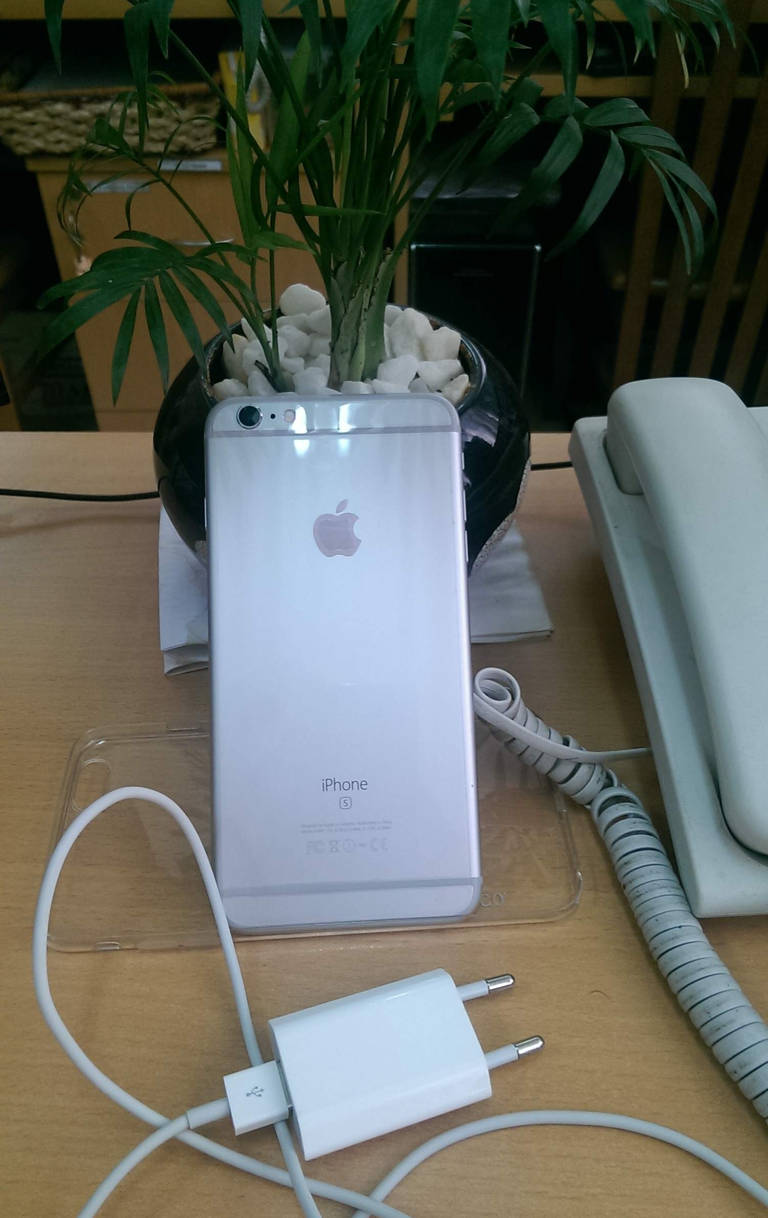 IMAG2705.jpg