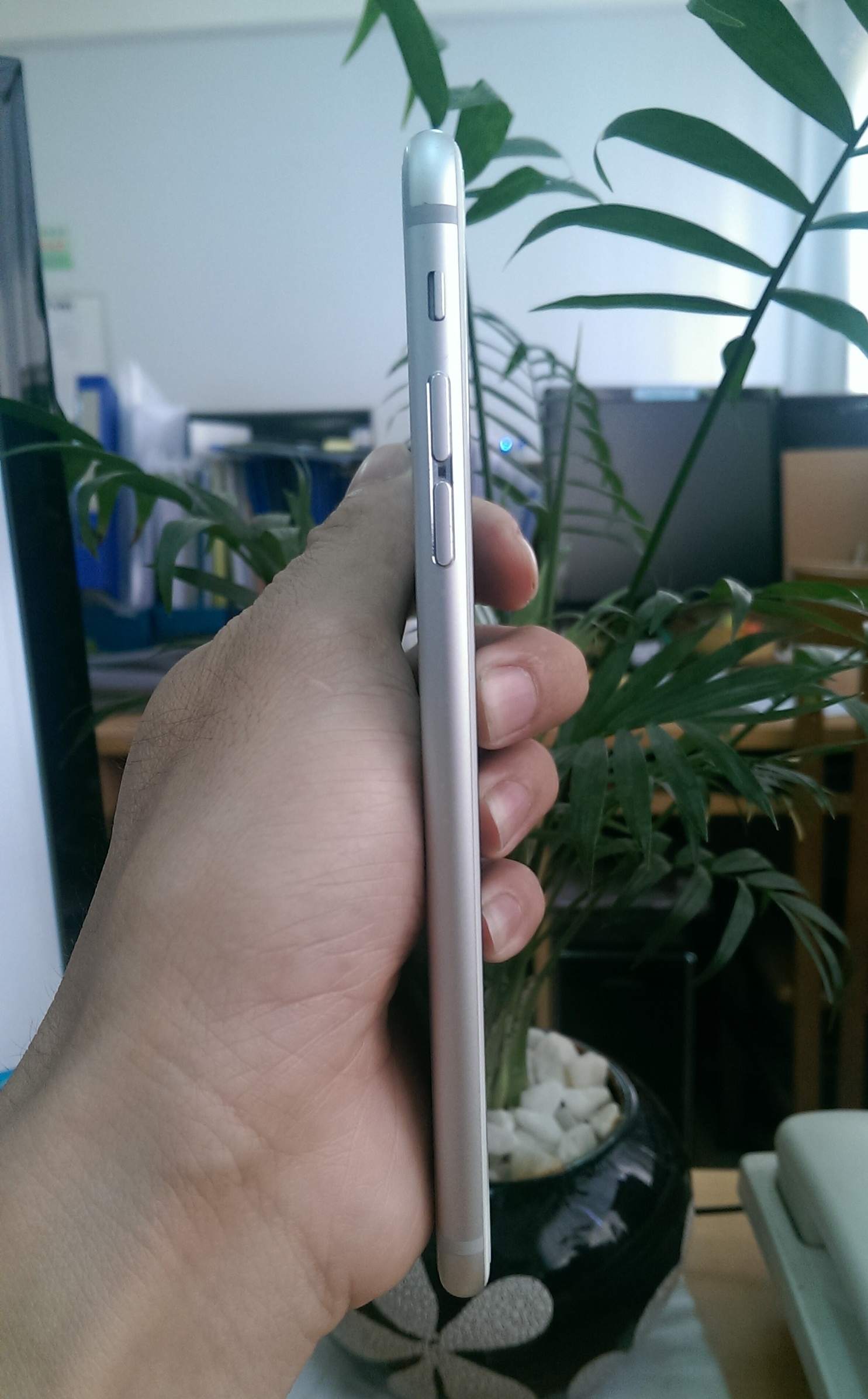 IMAG2706.jpg