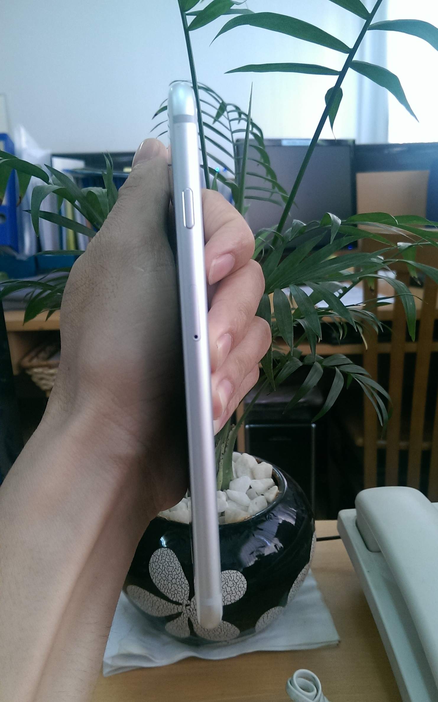 IMAG2707.jpg