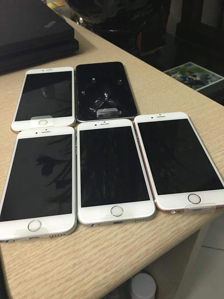 13162523_996972113731489_1569151455_n.jpg