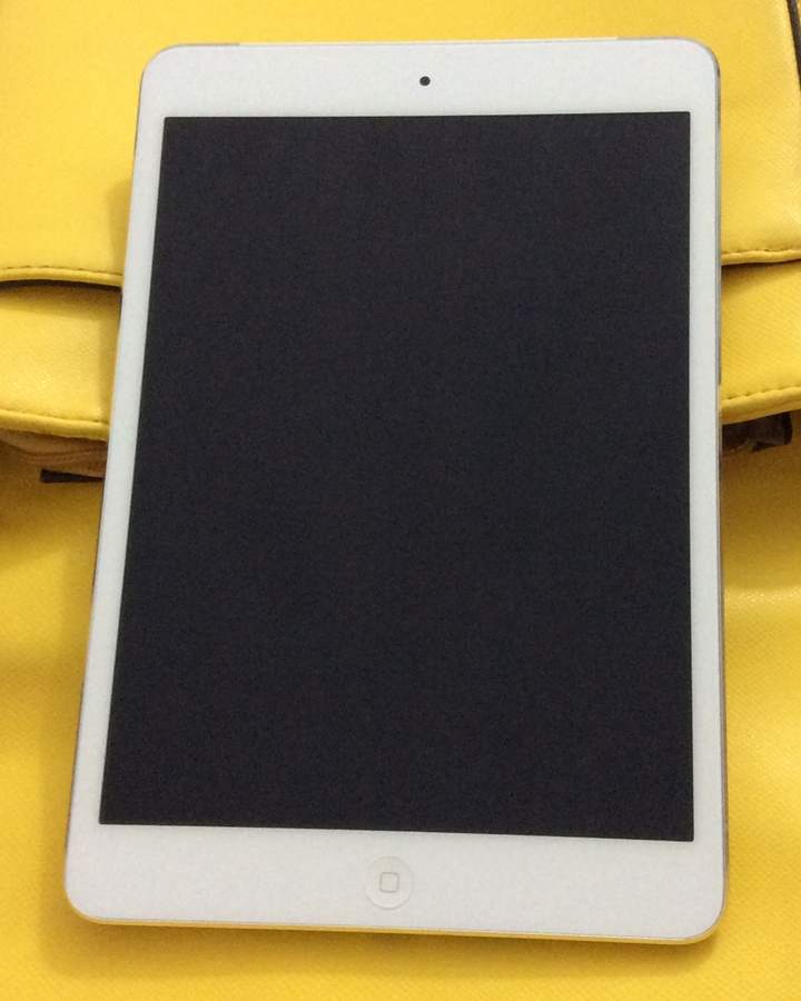 iPad mini 2 w 03 (2).JPG