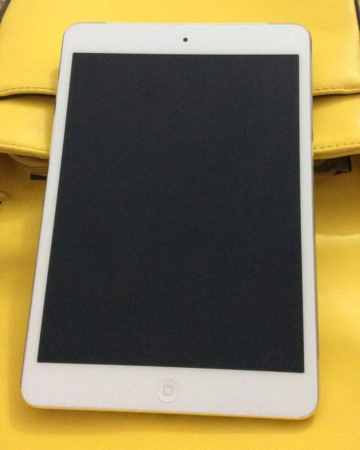iPad mini 2 w 03 (6).JPG