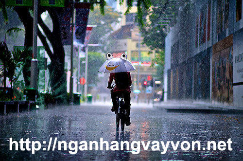 hinh-anh-troi-mua-lang-man-268-2.jpg