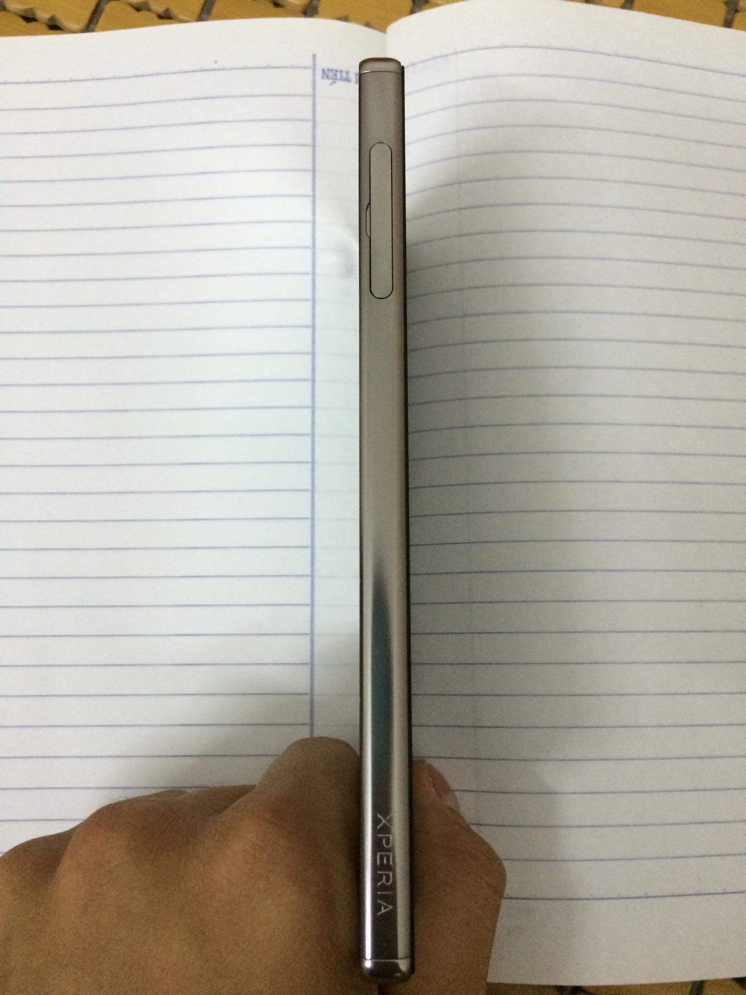 image.jpeg