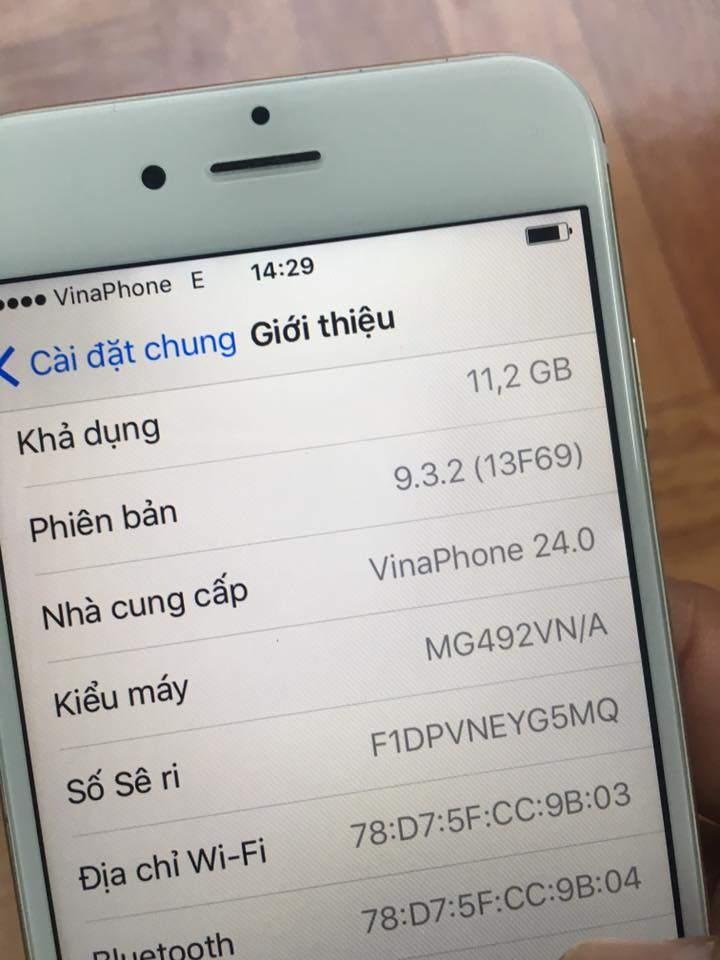 13346457_1173365996015990_2599085626257860162_n.jpg