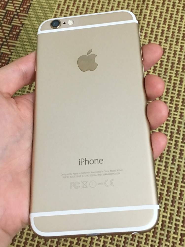 .6 gold sac 4.JPG