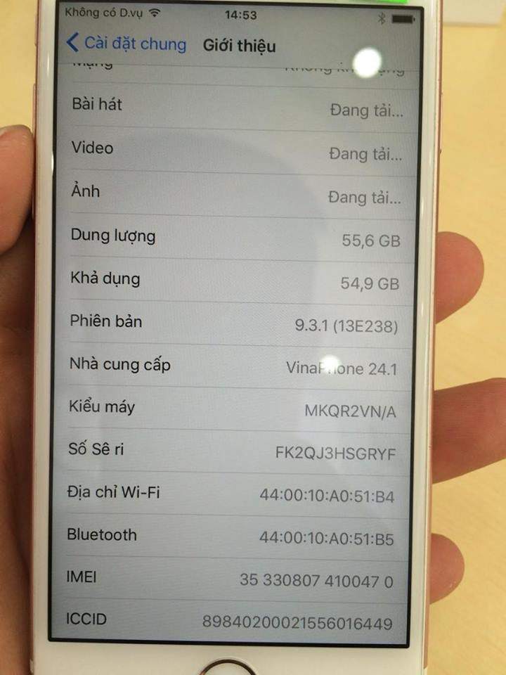 13342464_1076855782387882_1811819564_n.jpg