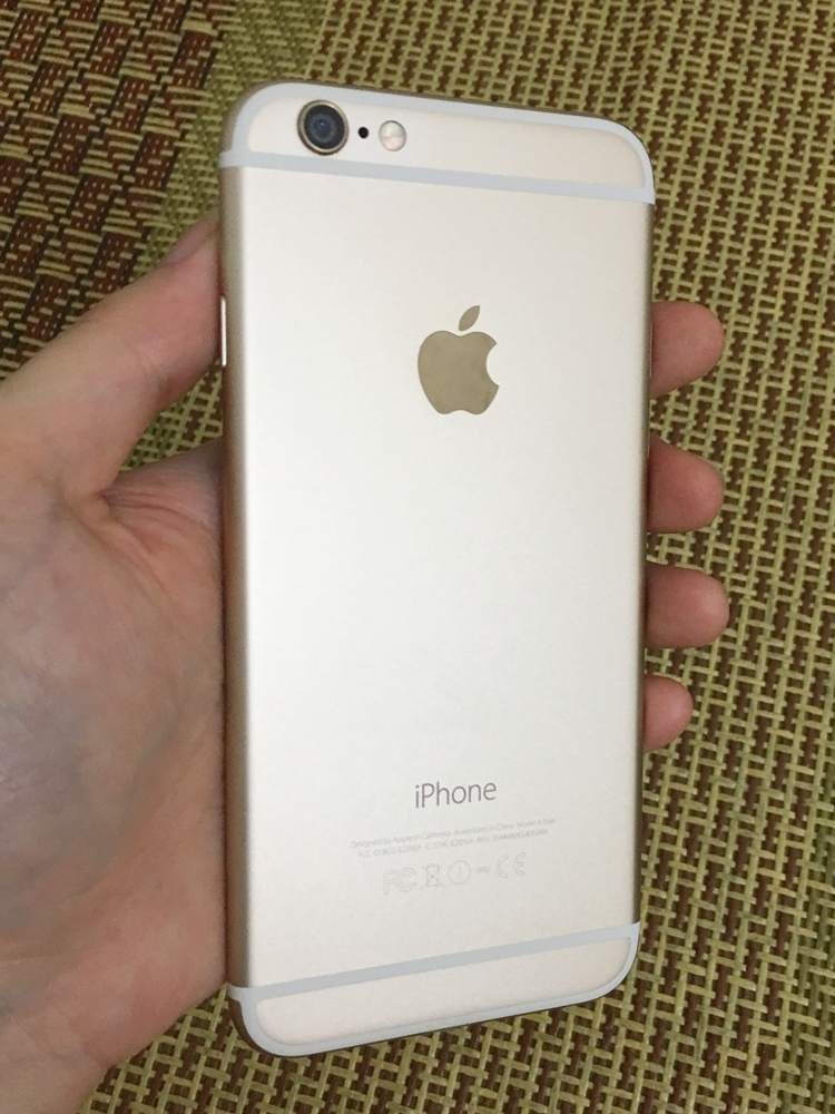 .6 gold sac 3.JPG