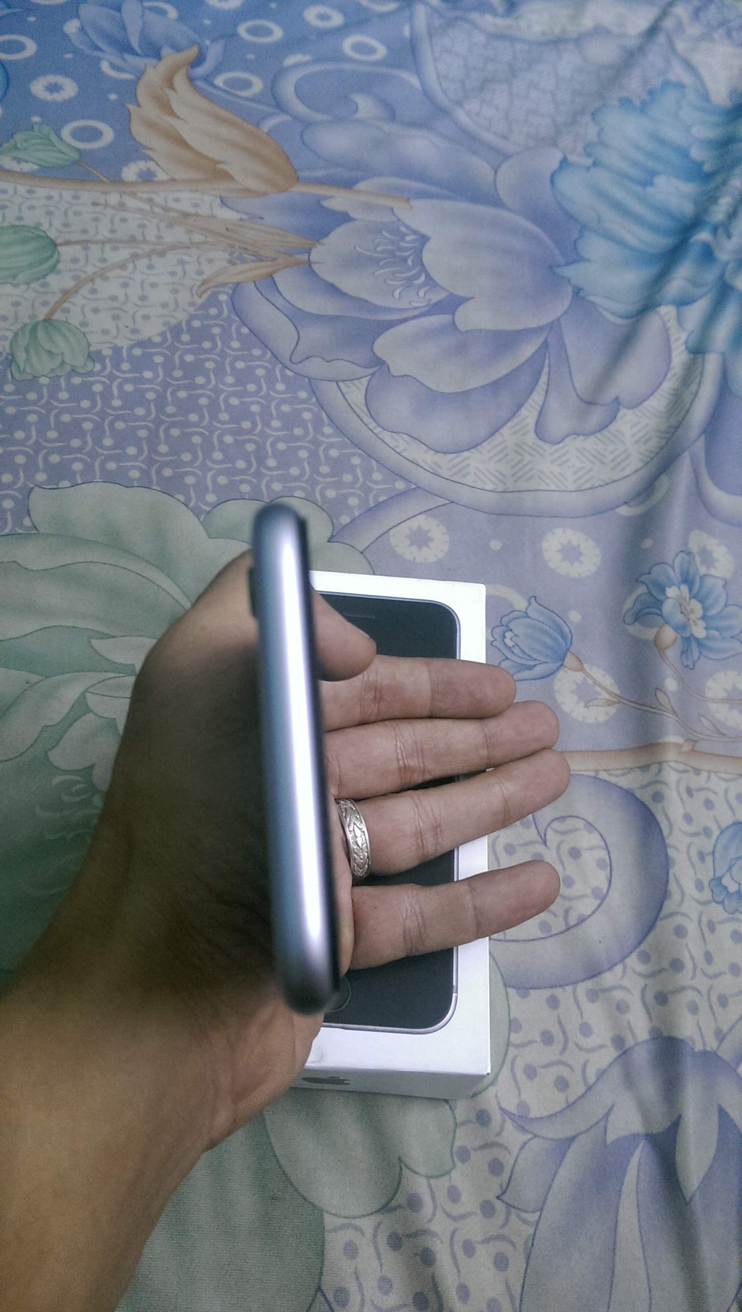 IMAG0966.jpg