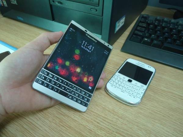 DSC05532 (600 x 450).jpg