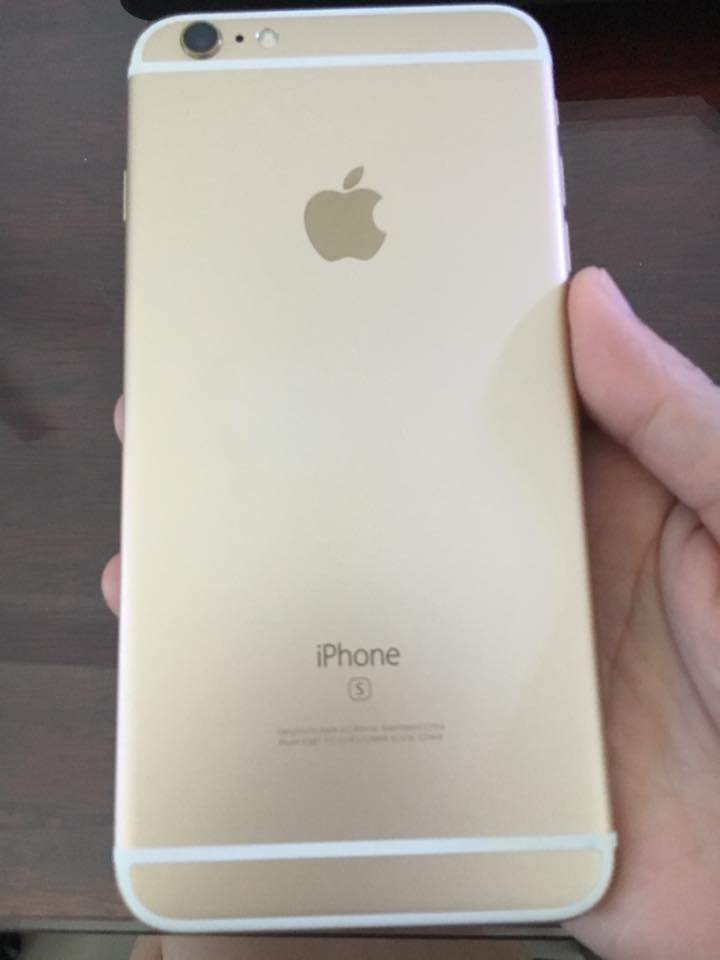 13342969_1008394689236464_8279726680054607300_n.jpg