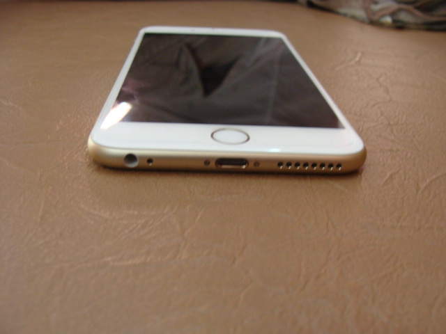 DSC02113.JPG